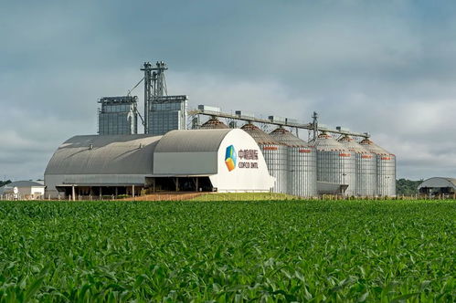 中粮国际与蒙牛现代牧业携手，开创零毁林巴西大豆合作新篇章