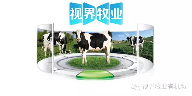 视界牧场 聊城大众网为您展示现代化牧业的典范