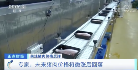 猪肉价格反弹，一公斤涨近7元！接下来怎么走？