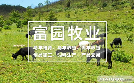 富园牧业品牌介绍及其在十大品牌网中的表现