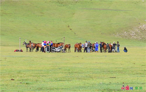 行摄草原丨传承游牧文化的扎鲁特草原纯牧业苏木