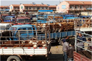 张家口牧业的发展现状与前景