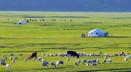 数字赋能，智慧牧业 构建现代三农新生态